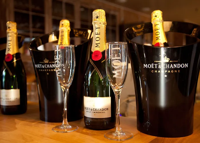 Club Katinkulta * 부오카티